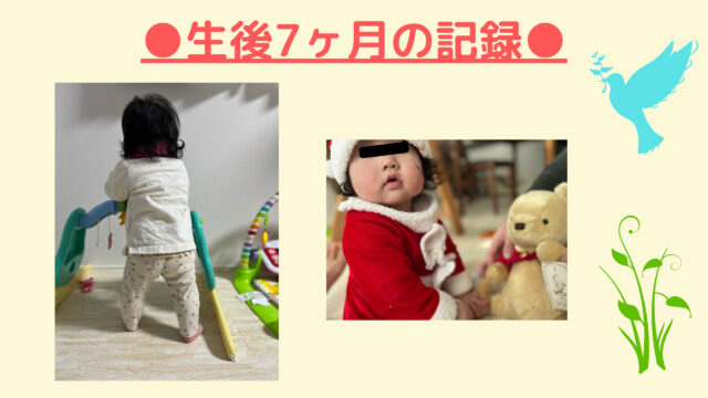 生後7ヶ月の成長記録 ワーキングママの奮闘記録 生後7ヶ月の成長記録 ワーキングママの奮闘記録